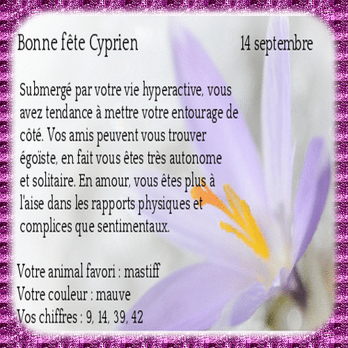 CYPRIEN_2