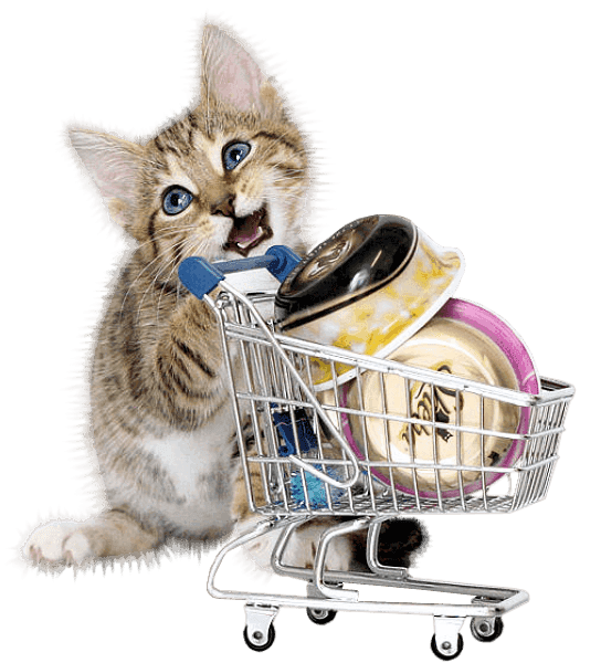 LES_EMPLETTES_DU_JOUR