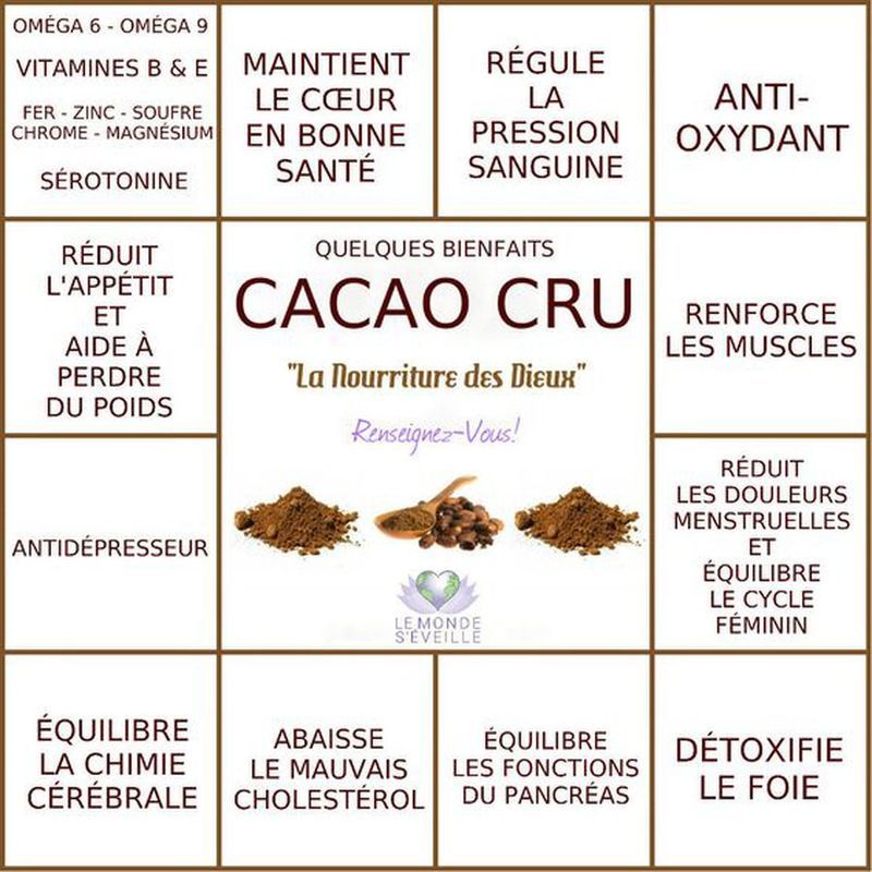 Les Bienfaits Du Cacao Cru