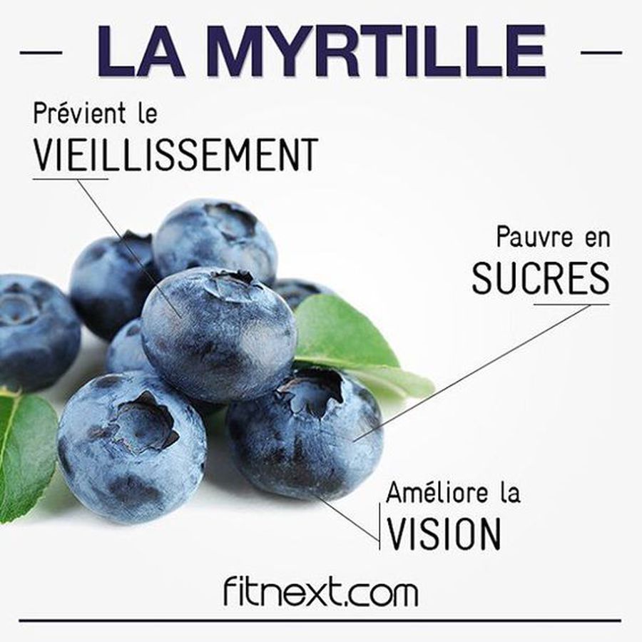 Les Bienfaits De La Myrtille