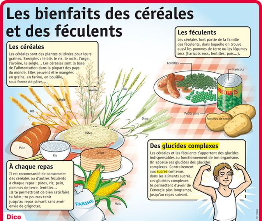 Les Bienfaits Des Cereales Et Feculents